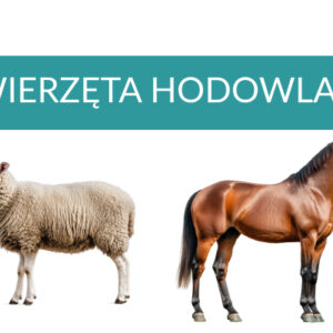 Zwierzęta hodowlane